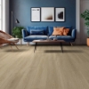 Picture of Shaw Floors - Dwell Light Roast