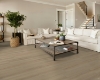 Picture of Shaw Floors - Dwell Cozy Taupe