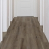 Picture of Shaw Floors - Dwell Fireside Brown