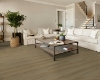 Picture of Shaw Floors - Dwell Nutmeg