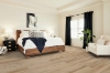 Picture of Shaw Floors - Fresh Take Butterfly White