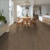 Picture of Shaw Floors - Fresh Take Wingback Brown