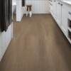 Picture of Shaw Floors - Fresh Take Wingback Brown