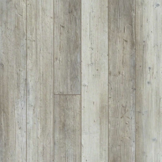 Picture of Shaw Floors - Paragon 5 Plus Distinct Pine