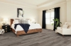 Picture of Shaw Floors - Paragon 5 Plus Distinct Pine