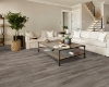 Picture of Shaw Floors - Paragon 5 Plus Distinct Pine