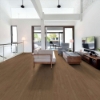 Picture of Shaw Floors - Pantheon HD Plus Natural Bevel Jasper