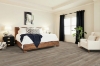 Picture of Shaw Floors - Paragon 7 Plus Cut Pine