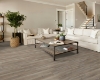 Picture of Shaw Floors - Paragon 7 Plus Cut Pine