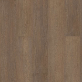 Picture of Shaw Floors - Paragon HD Plus Natural Bevel Gable