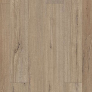 Picture of Shaw Floors - Polaris Plus Driftwood