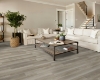 Picture of Shaw Floors - Polaris Plus Lighthouse