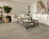 Picture of Shaw Floors - Polaris Plus Soft Beige