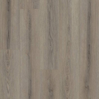 Picture of Shaw Floors - Polaris Plus Ashen Brown