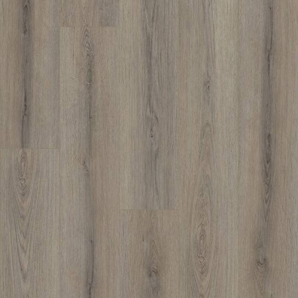 Picture of Shaw Floors - Polaris Plus Ashen Brown