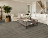 Picture of Shaw Floors - Polaris Plus Ashen Brown