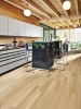 Picture of Kahrs - American Naturals Woodloc Hard Maple Toronto