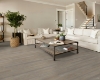 Picture of Shaw Floors - Supino HD Plus Cenere