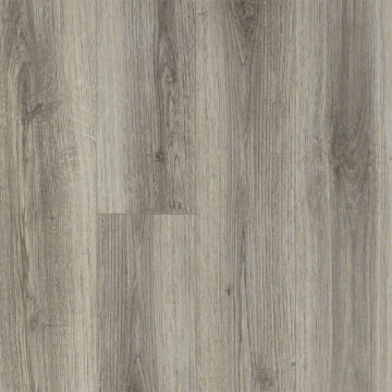 Picture of Shaw Floors - Tivoli Plus Lince