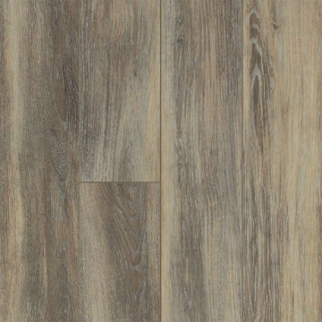 Picture of Shaw Floors - Tivoli Plus Sabbia