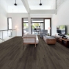 Picture of Shaw Floors - Anvil Plus 20 MIL Dark Elm