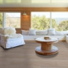 Picture of Shaw Floors - Anvil Plus 20 MIL Greige Walnut