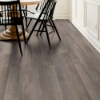 Picture of Shaw Floors - Anvil Plus 20 MIL Grey Chestnut