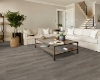 Picture of Shaw Floors - Anvil Plus 20 MIL Grey Chestnut