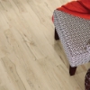 Picture of Shaw Floors - Anvil Plus 20 MIL Mineral Maple