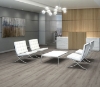 Picture of Philadelphia Commercial by Shaw - Ardent Beach Oak