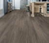 Picture of Philadelphia Commercial by Shaw - Ardent Dark Elm