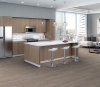 Picture of Philadelphia Commercial by Shaw - Ardent Greige Walnut