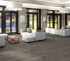 Picture of Philadelphia Commercial by Shaw - Ardent Grey Chestnut