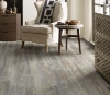 Picture of Philadelphia Commercial by Shaw - Ardent Grey Chestnut