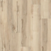 Picture of Philadelphia Commercial by Shaw - Ardent Mineral Maple