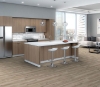 Picture of Philadelphia Commercial by Shaw - Ardent Mineral Maple