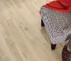 Picture of Philadelphia Commercial by Shaw - Ardent Mineral Maple