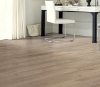 Picture of Philadelphia Commercial by Shaw - Fortitude Driftwood