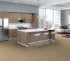 Picture of Philadelphia Commercial by Shaw - Fortitude Oceanfront