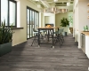 Picture of Philadelphia Commercial by Shaw - Fortitude Smoky Oak