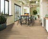 Picture of Philadelphia Commercial by Shaw - Fortitude White Sand