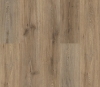 Picture of Philadelphia Commercial by Shaw - Fortitude Wild Dunes