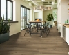 Picture of Philadelphia Commercial by Shaw - Fortitude Wild Dunes