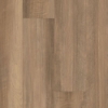Picture of Philadelphia Commercial by Shaw - Fortitude Tawny Oak