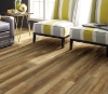 Picture of Philadelphia Commercial by Shaw - Fortitude Tawny Oak