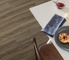 Picture of Philadelphia Commercial by Shaw - Fortitude Cinnamon Walnut