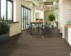 Picture of Philadelphia Commercial by Shaw - Fortitude Cinnamon Walnut