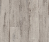 Picture of Philadelphia Commercial by Shaw - Fortitude Fresh Driftwood