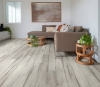 Picture of Philadelphia Commercial by Shaw - Fortitude Fresh Driftwood