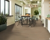 Picture of Philadelphia Commercial by Shaw - Fortitude Simple Wash